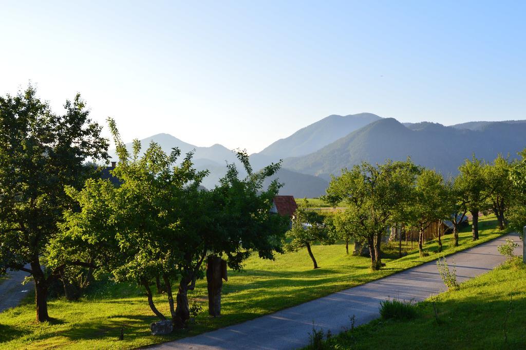 Apartmens And Rooms Sostar Cerkno Extérieur photo