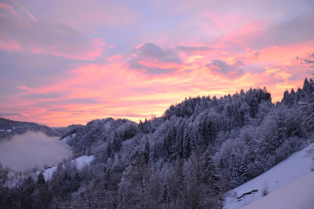Apartmens And Rooms Sostar Cerkno Extérieur photo
