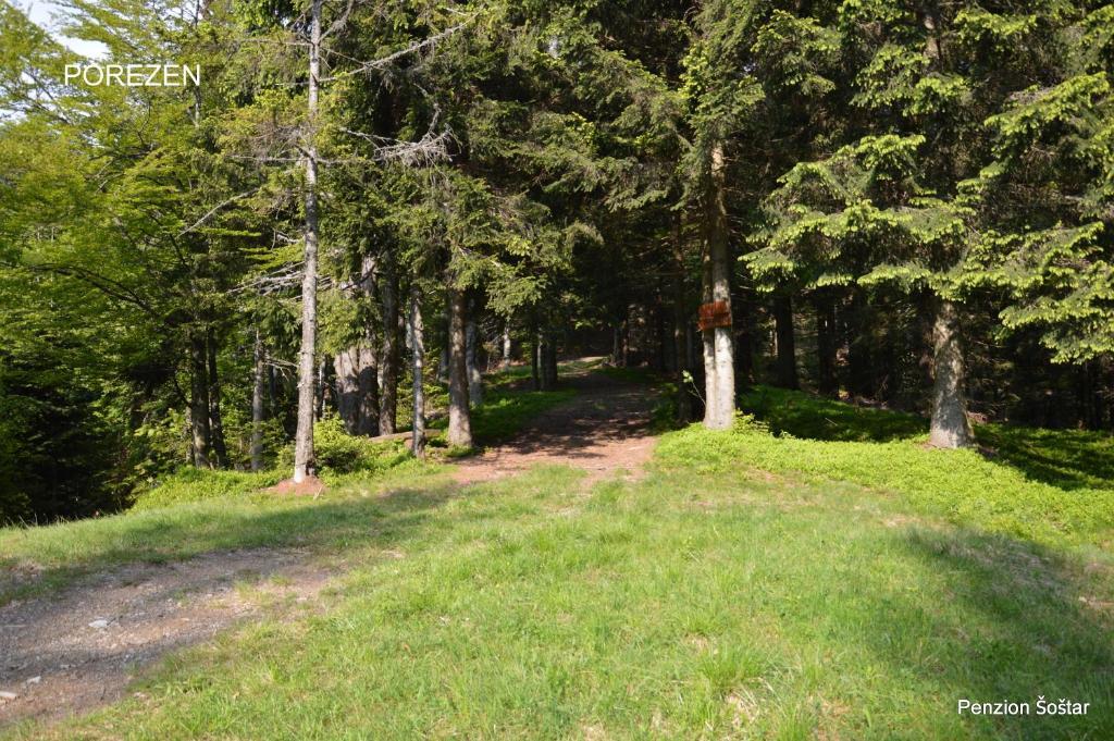 Apartmens And Rooms Sostar Cerkno Extérieur photo
