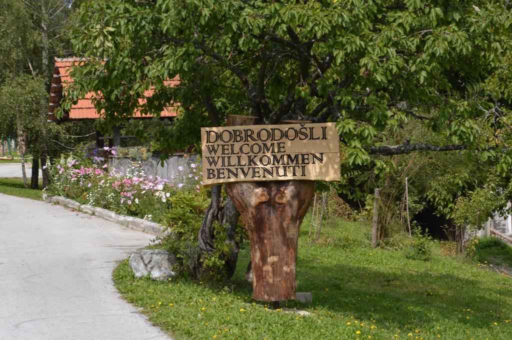 Apartmens And Rooms Sostar Cerkno Extérieur photo